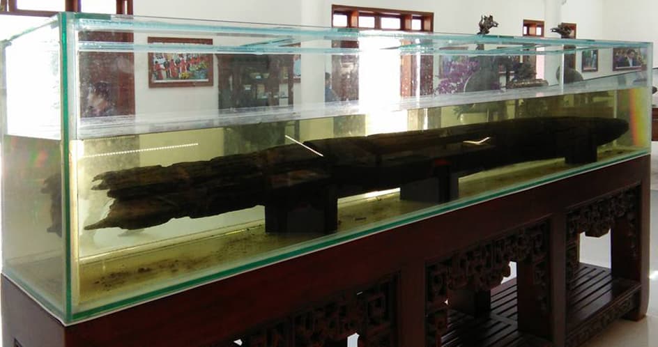 Hình ảnh mô phỏng cọc gỗ trong trận Bạch Đằng năm 938